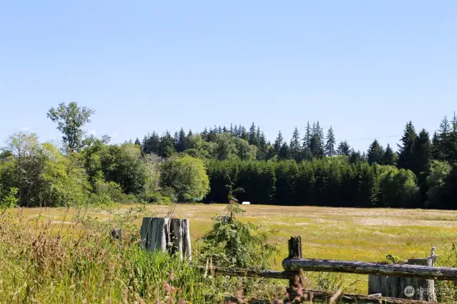 On Map - Point J & K.  This is property line point for the between the home property and the subject property. This runs along from this stick to the tall cotton wood tree Point ZZ. Points are estmated on Pictures. Stakes are present to show points and lines.