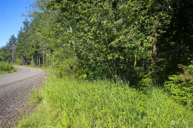 On Map - Points B & C.  Point B is the Yellow Ribbon onthe tree & Point C is the Tall tree on the left side of picture.  This marks the "Triangle" Piece of thr Property.  The "Panhandle is still running along to the right of picture. Points are estmated on Pictures. Stakes are present to show points and lines.