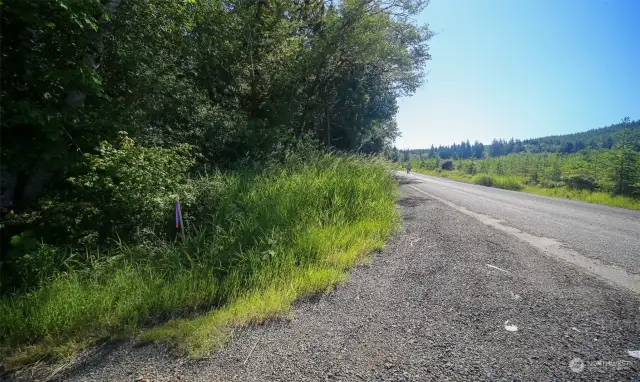 On Map - Point D  This is property line area along the road. The Panhandle is to the rear of picture, full properrty is to the front of you all the way doen to the creek.  Points are estmated on Pictures. Stakes are present to show points and lines.