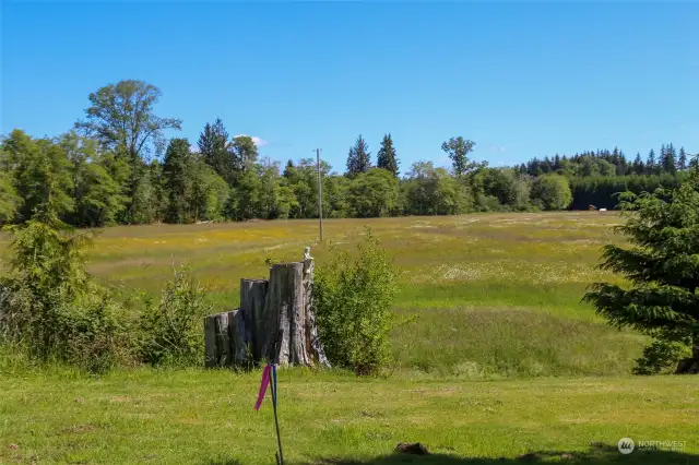 On Map - Point J & K.  This is property line point for the between the home property and the subject property. This runs along from this stick to the tall cotton wood tree Point ZZ. Points are estmated on Pictures. Stakes are present to show points and lines.