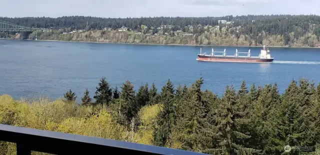 An endless parade of marine traffic, whale sightings and eagles hunting...a glorious playground!