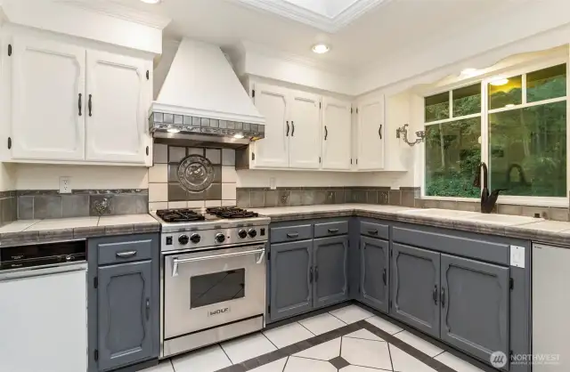 Alternate View of the Chef's Domain~
