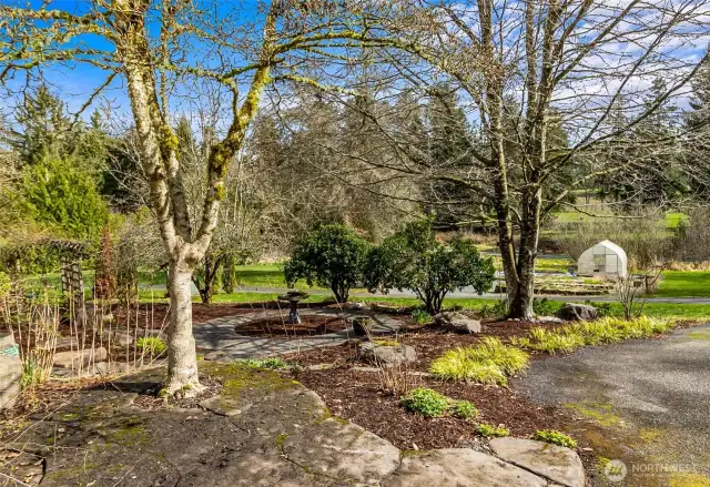 Sunny Courtyard overlooks the Front of the Property~Mature Hydrangea & Hellebore~Grasses & Rhoadies~Spring has Sprung~Wake to the Birds Singing~ Longer Days or Warmth & Light~
