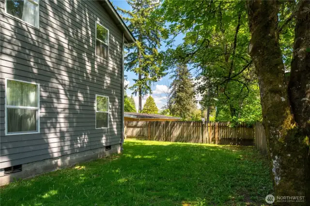 Fenced back yard.