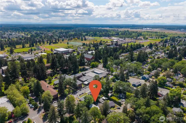 PLU campus in the background.
