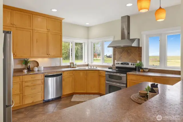 Chef's kitchen with lots of cabinetry, countertops, and views