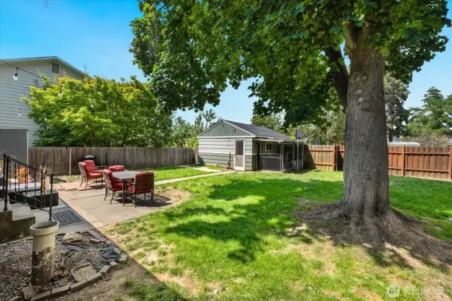Backyard with dog kennel