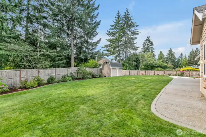 Backyard