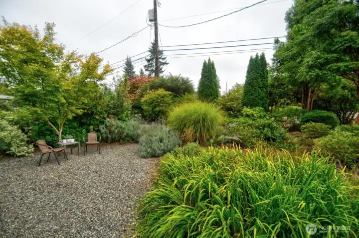 With a private front garden of drought resistant, established plantings, this home is on an iconic Olympia street - desired for its proximity to schools, greenspace and a green grocer not too far away!