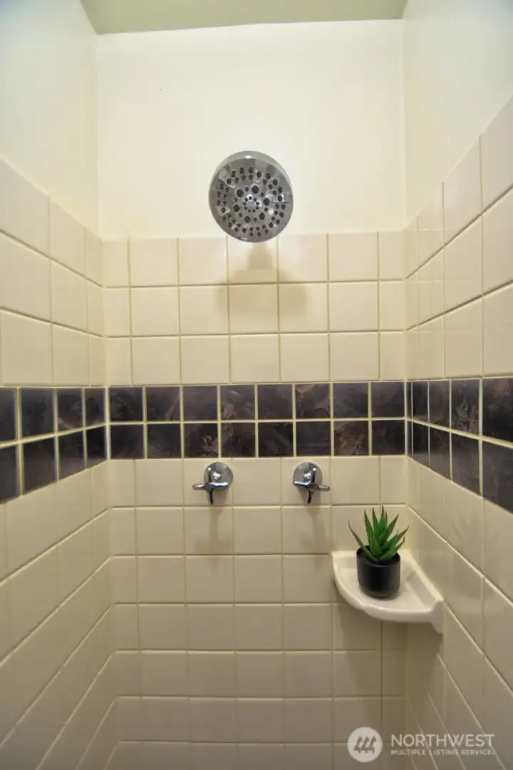 ...walk in shower!