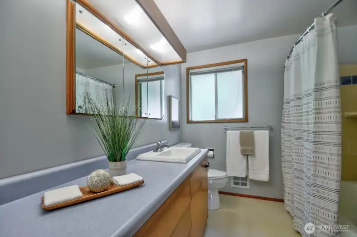 Hall bathroom is updated while still evoking the era - original vanity base matches the kitchen cabinets.