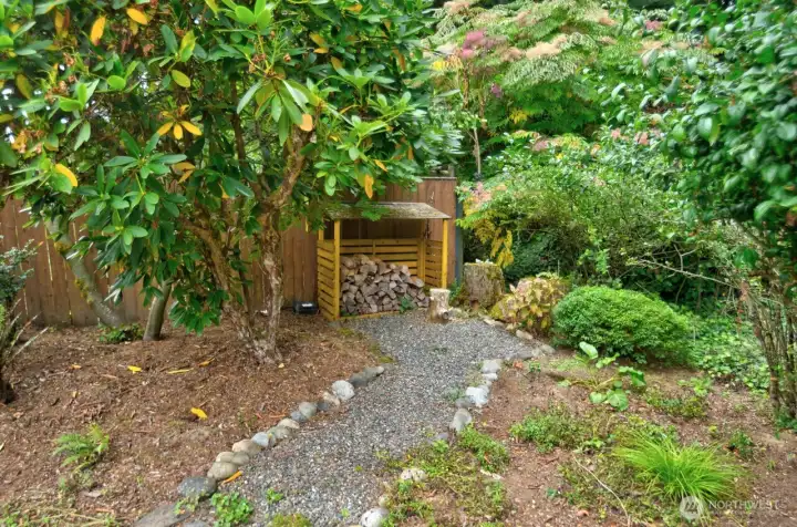 Backyard features established and unique trees plus a wood shed...