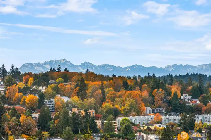 Views from the living room and deck!