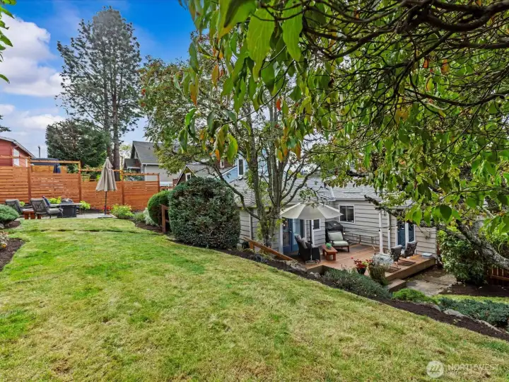 Beautifully maintained, private garden