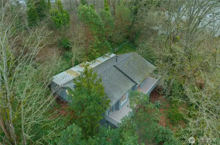 The greenery you see from above is what you live in every day.