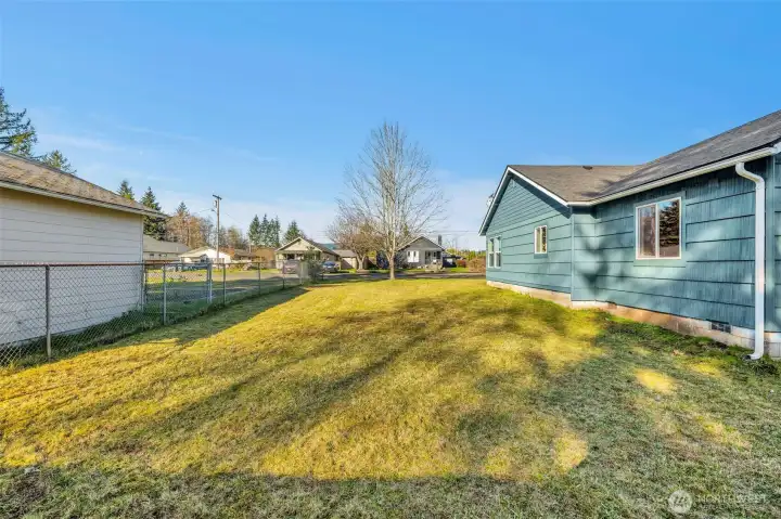 Large side yard with plenty of space for a garden or pets!