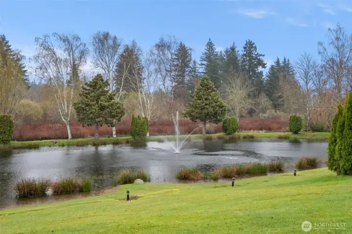 small lake/pond and walking trails!