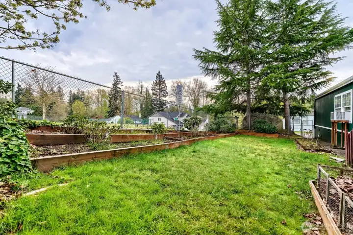 Fenced in Back Yard