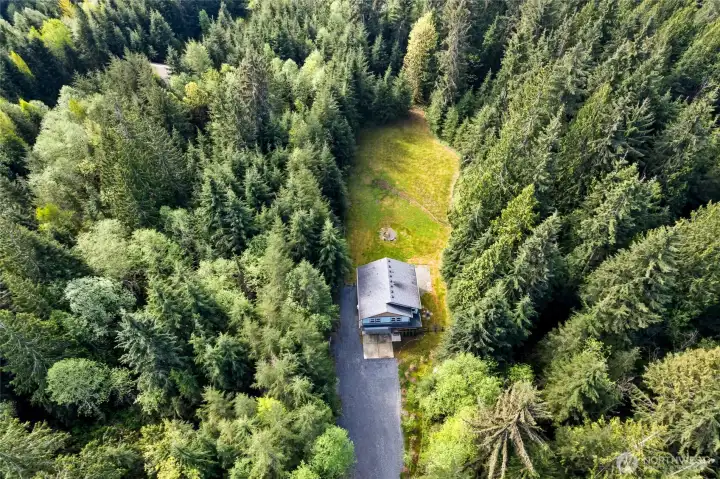 5 Serene and secluded acres an oasis of privacy.