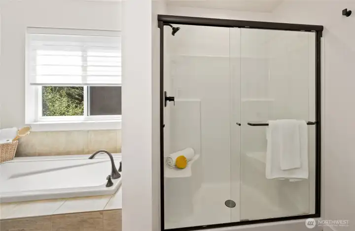 Separate shower and soaker tub.