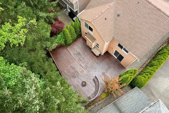 Oversized backyard deck surrounded by greenery.