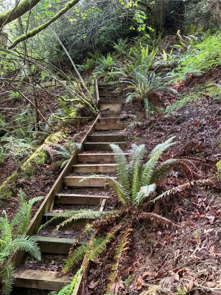 Stairway/trail has been established down to beach.
