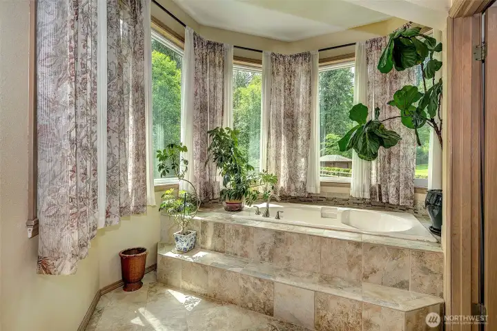 Primary with a deep soaking bathtub.
