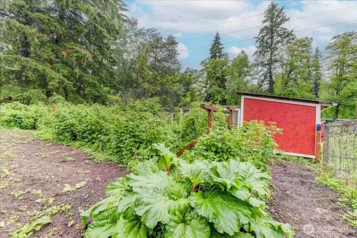 Organic garden fully irrigated from the dedicated irrigation well. Organic garden fully irrigated from the dedicated irrigation well.