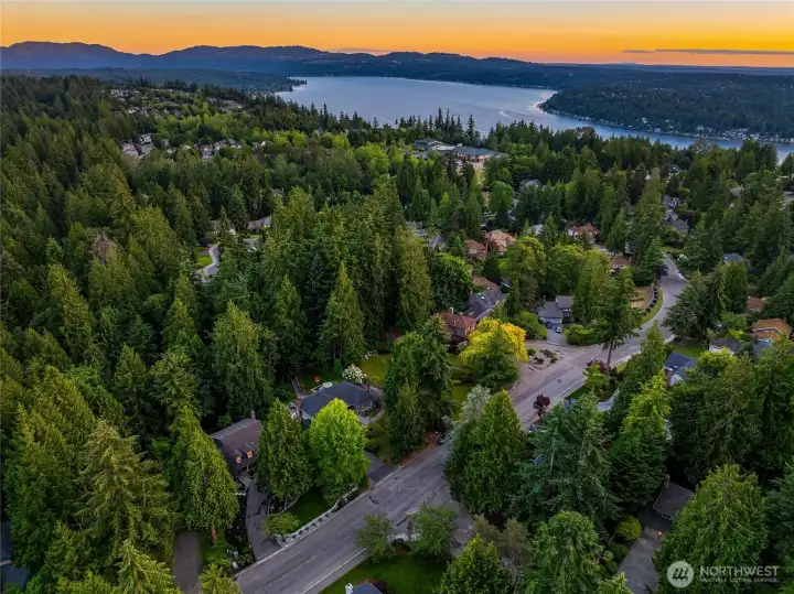 This aerial shot captures the home nestled in the evergreens of the Sammamish Plateau-overlooking Lake Sammamish and beyond- offering the quickest access to 520, Redmond, light rail, and Costco from the North Plateau.