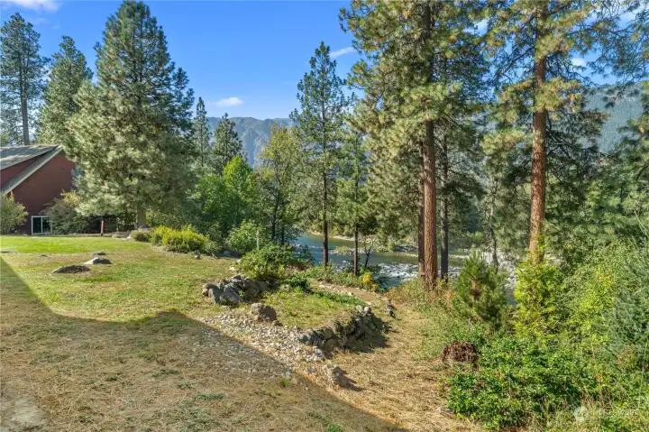 Rear Yard