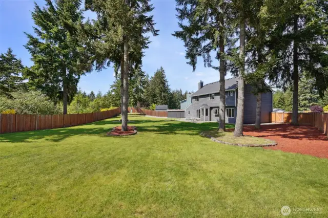 Back yard