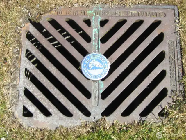 storm drain