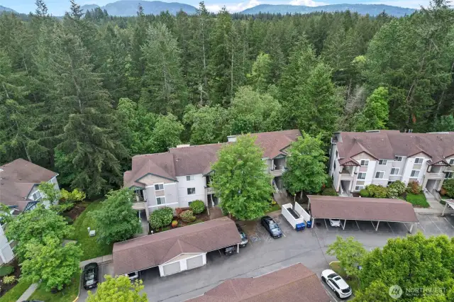 experience ultimate privacy with old growth trees lining the community