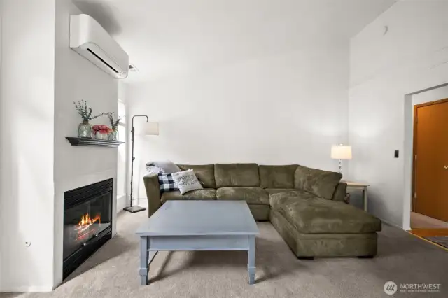 Gas Fireplace for Cozy Winters!