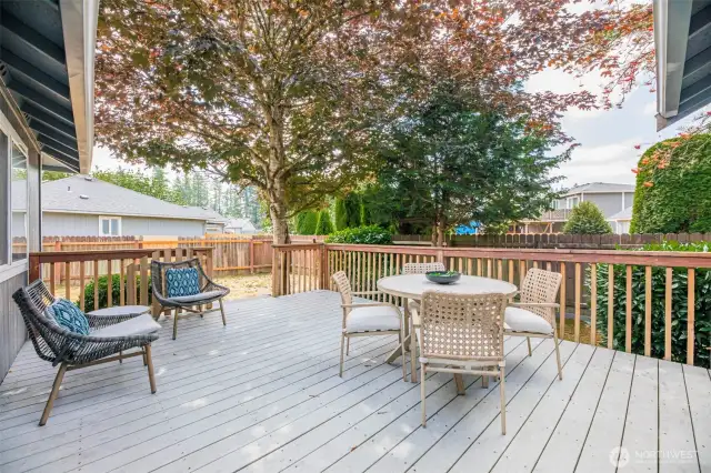 Composite Back Deck