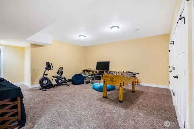 Extra bonus room downstairs