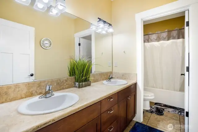 Guest bath 3 downstair