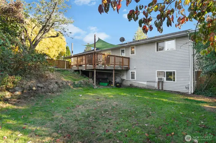Lower portion of back yard