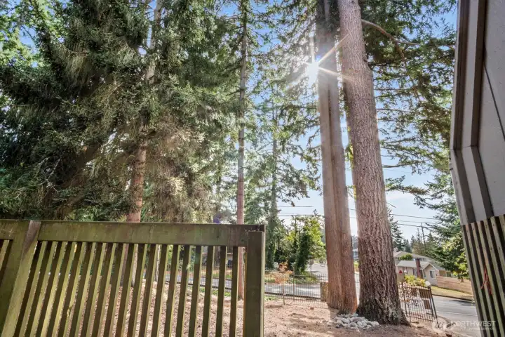 quiet and under the mature trees