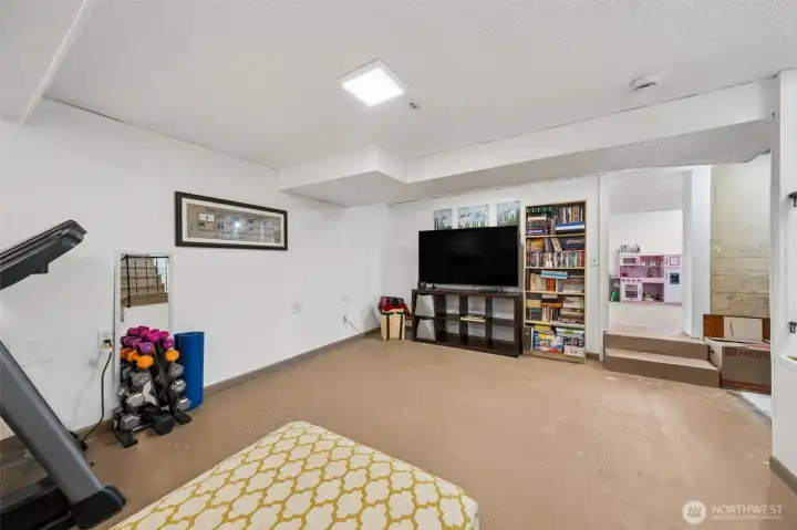 The staircase from the main level leads to this recreation room that the sellers use as an extra TV room/gym area.