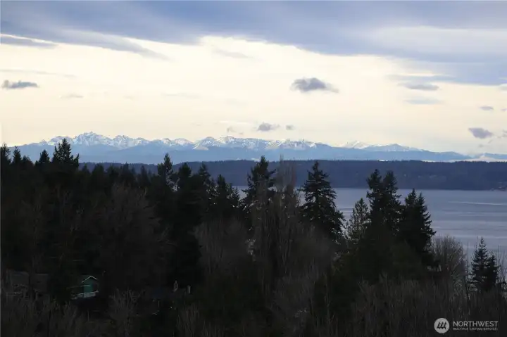 Evening photos of the Olympics.