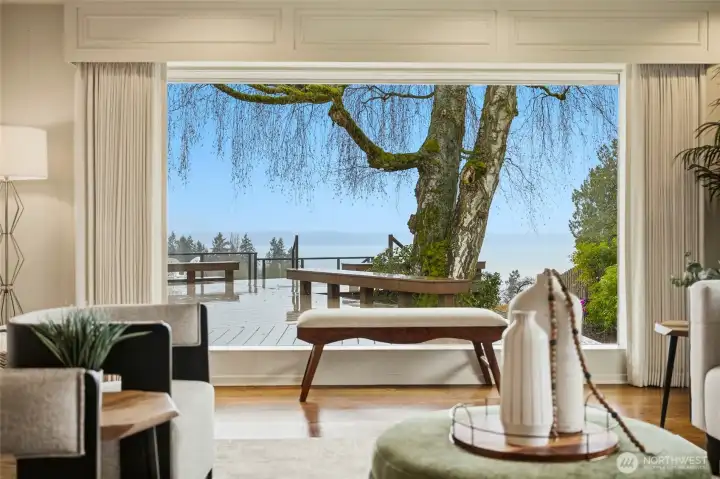 View from living room.