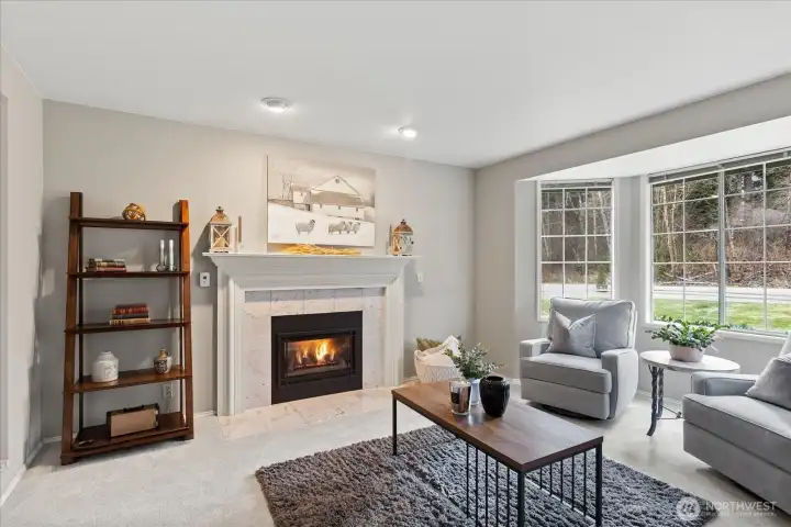 Formal living room with cozy gas fireplace