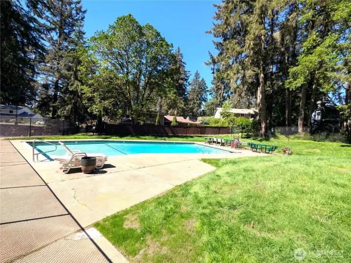 Neighborhood pool for your enjoyment