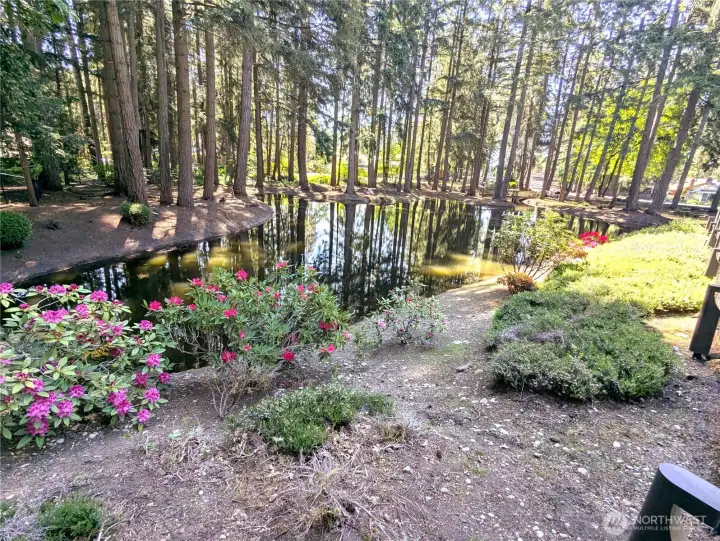 Serene neighborhood park