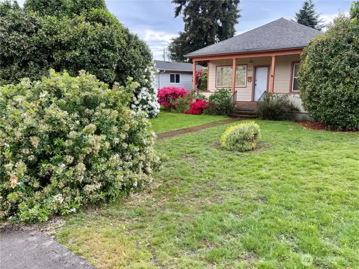 Front yard