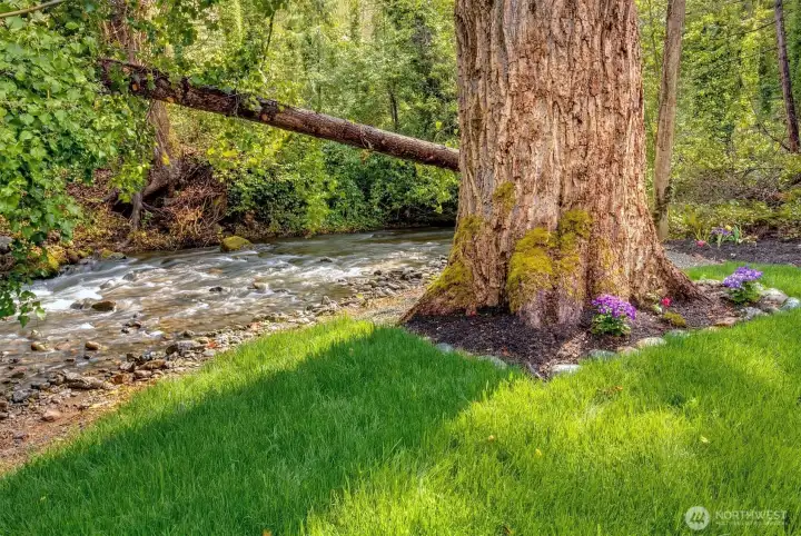 This backyard oasis backs to a serene, babbling creek that makes this outdoor space truly one of a kind.