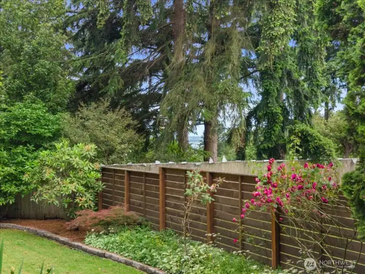 Partial lake view – Established landscaping features flowering plants, mature greenery, and fenced garden borders with a peekaboo view of the lake. Attractive outdoor setting complements this space.