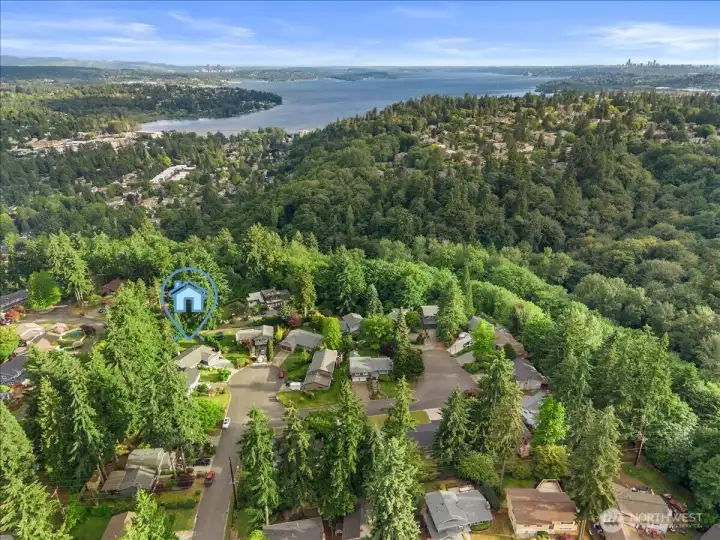 Location View – Aerial perspective identifying the property's location within a tree-lined neighborhood and its proximity to surrounding amenities and natural areas.