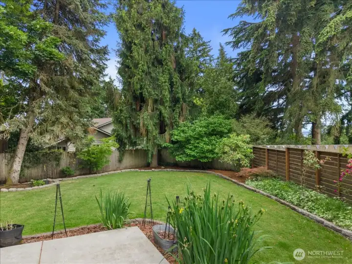 Backyard – Spacious backyard with level lawn, mature trees, and established planting beds. Fenced setting provides a private and well-maintained outdoor environment.